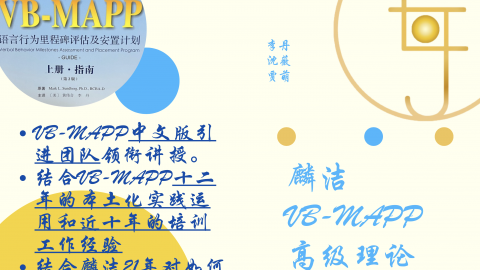 VB-MAPP高级理论