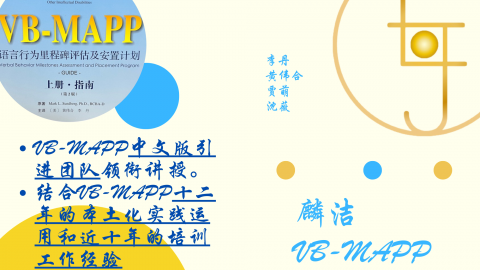 VB-MAPP初级理论